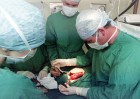 Kidney transplant operation.
